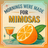 A mimosa in a glass with an orange and leaves, text reads "Mornings Were Made For Mimosas".