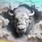 White bison head emerging from torn paper background.