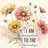 Daisies in pink and yellow bloom with text "I AM CONNECTED TO THE Universe".