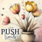 Vase of tulips with "PUSH Limits" text and small bees.
