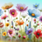 Field of colorful wildflowers including poppies and lupines against a gradient sky.