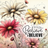 Watercolor daisies in pink, red, and yellow with "Believe" text.