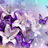 White and purple lilies with purple butterflies and sparkly accents.