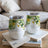 Two white tumblers with green foliage and yellow flowers on books.