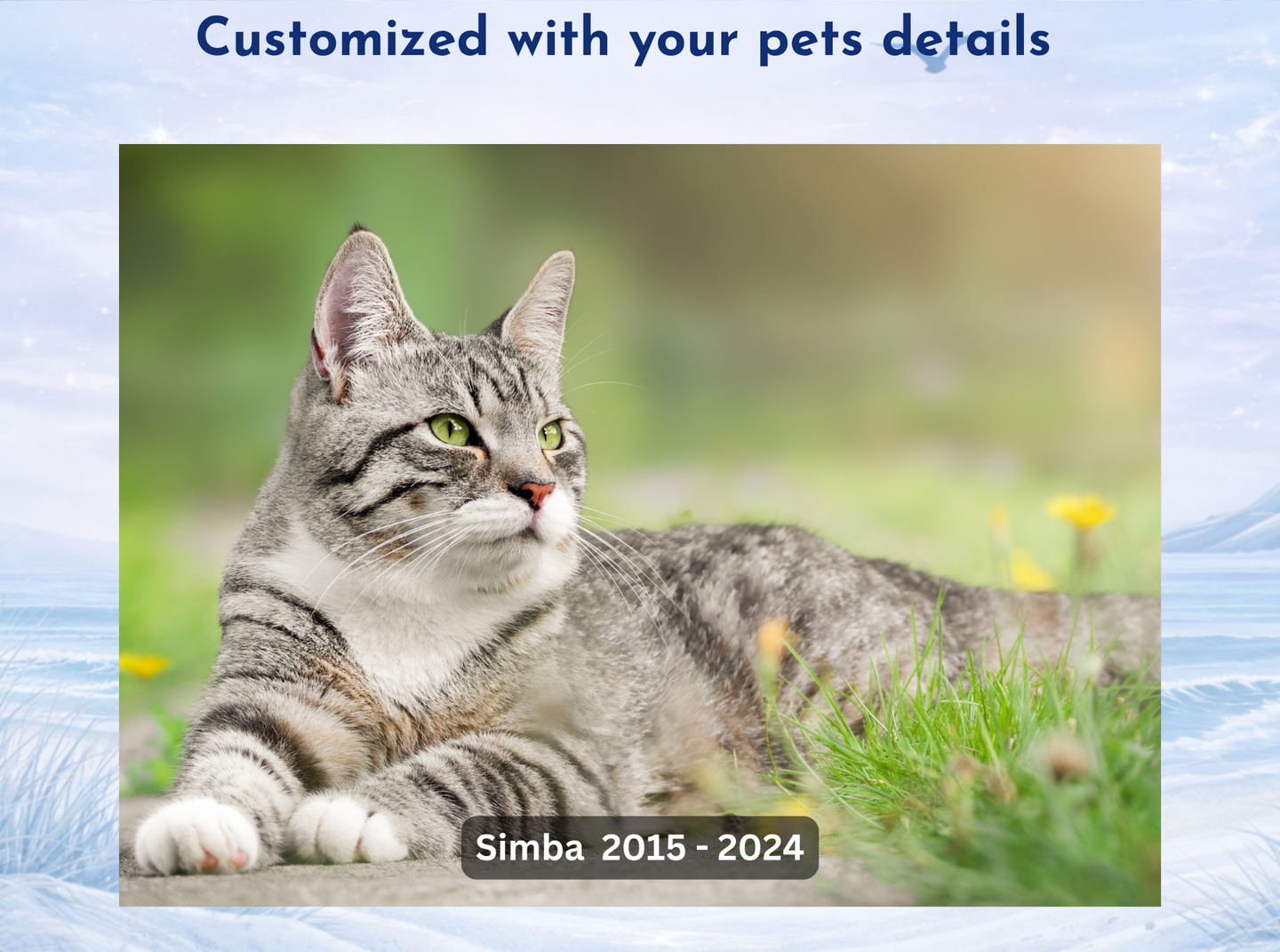 minimalist pet memorial slate with photo and name