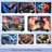 patriotic american flag photo slate