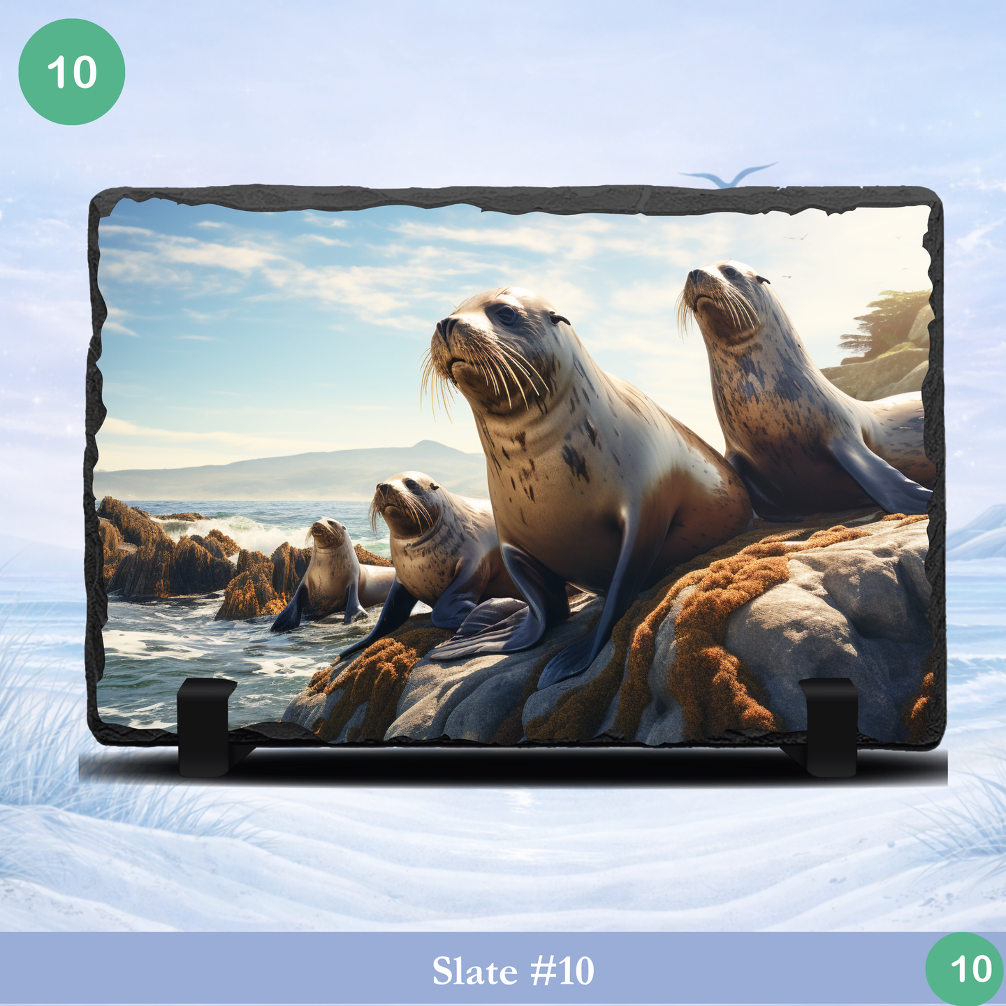 sea lions coastal rocks slate ocean wildlife beach scene decor