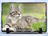 simple pet memorial photo slate personalized keepsake